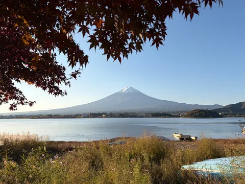 紅葉の葉の間から顔を出す富士山