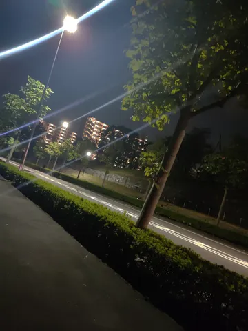 都会の夜景に溶け込む木漏れ日