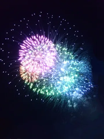 夜空を彩る幻想花火