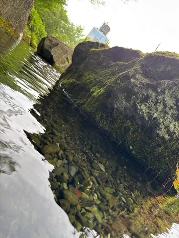苔むす岩と涼やかな水辺