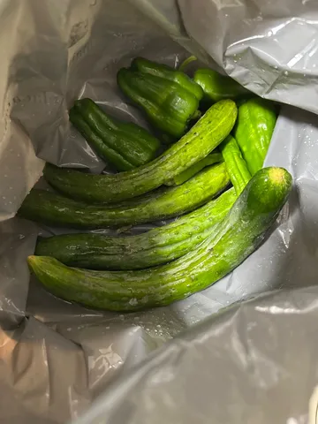 雨粒きらめく、採れたて野菜