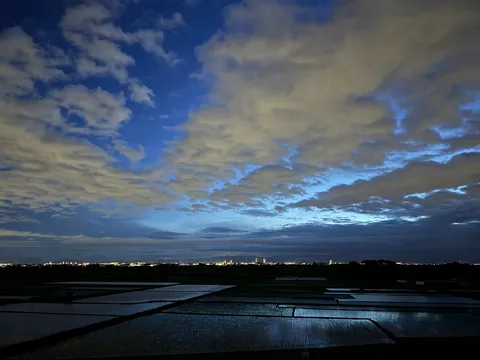 水田に映る夕暮れの空