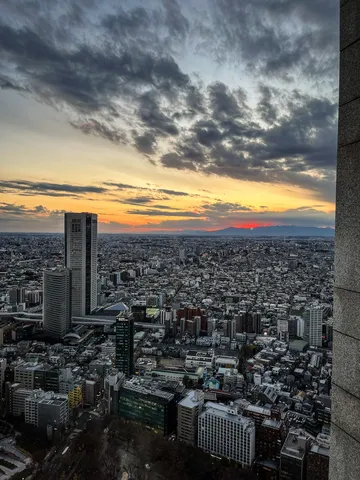 夕焼け染まる都会のパノラマ