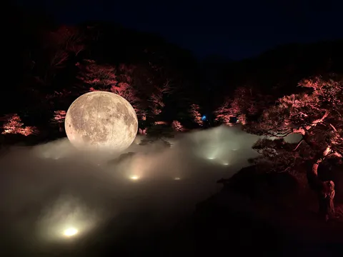 月と霧の庭園