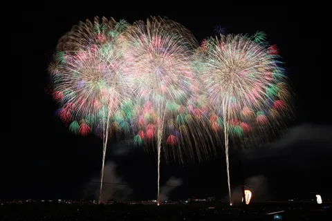 夜空に咲く光の森