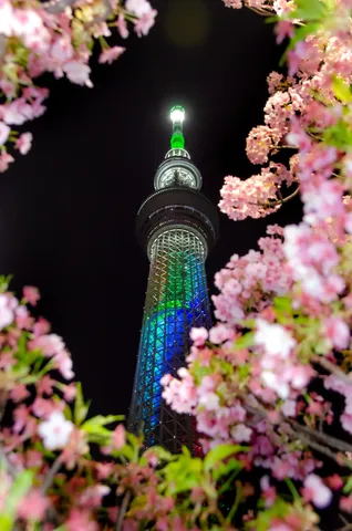 桜越しのきらめく夜景