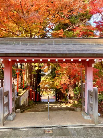 秋の神宮