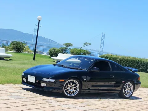 黒いカモメと青い空