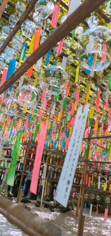 色と風が揺れる風鈴庭