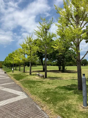 新緑が薫る、爽やかな公園の散歩道