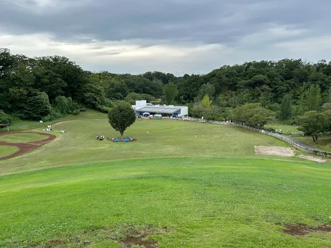 風景が広がる緑の舞台