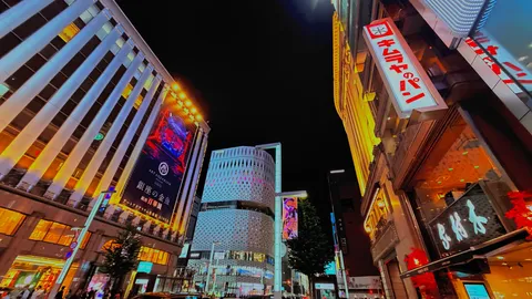 銀座の夜を見上げて