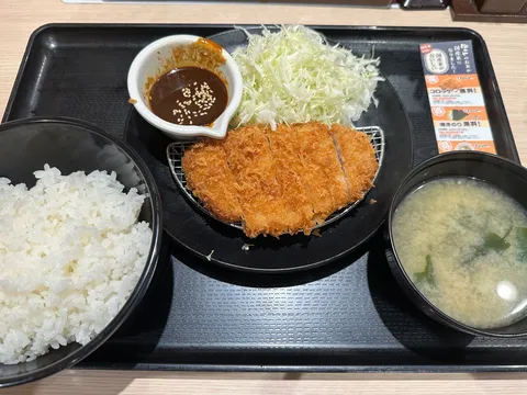 揚げ物と白米の穏やかな夜