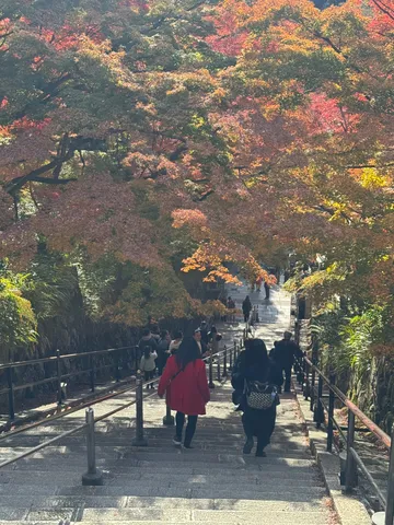 紅葉の坂道、わっせわっせと下り隊