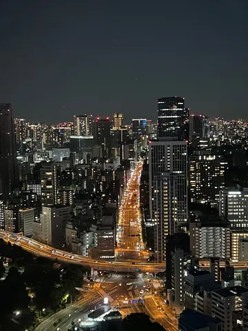夜景に溶け込む都市の光