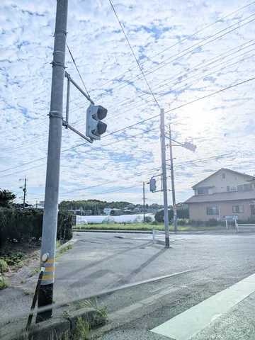 信号機と積乱雲のコントラスト