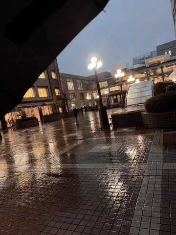 雨の街に映る灯の謎