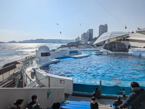 海とプールの境界線