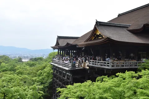 緑に浮かぶ木造の舞台