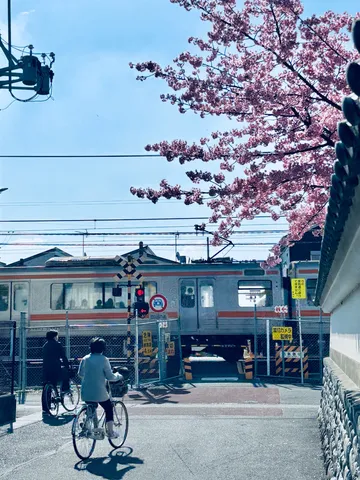 満開の桜と春の踏切