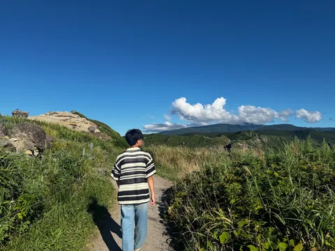 青空と草花の道標