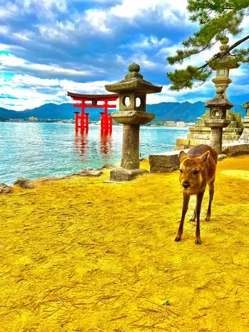 黄金の砂浜、鳥居と鹿