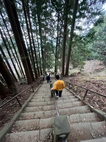 石畳の坂道、森への誘い