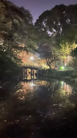夜の静寂、水鏡に映る橋