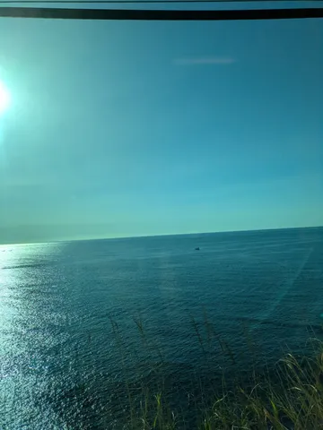 静寂を照らす光の海