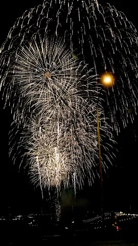夜空に咲く光の華