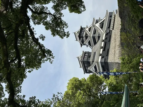 木々が彩る古城の姿