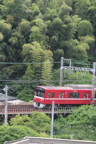 緑深き森と走る真っ赤な列車