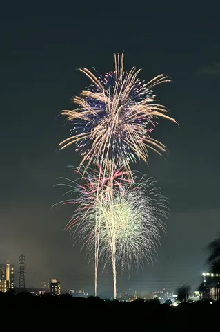 夜空に咲く光の花火