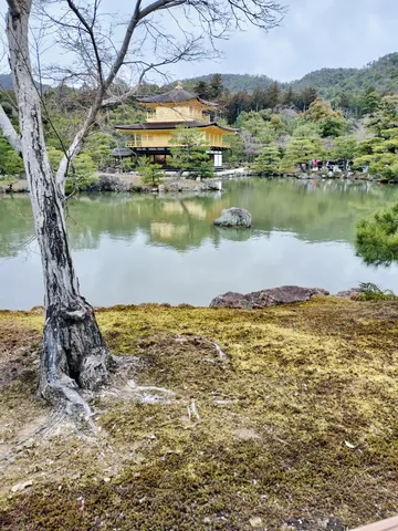 静寂に映える黄金の殿堂