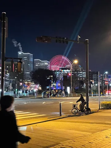 夜景に浮かぶ観覧車と自転車