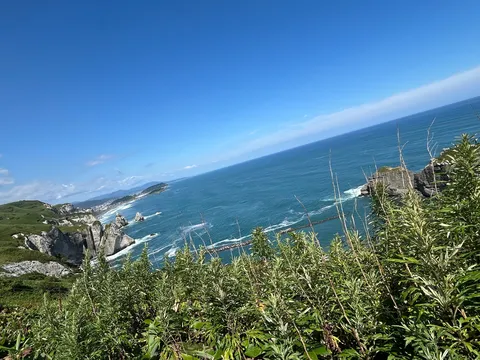 海岸線の緑と青い空