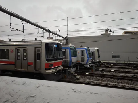 雨空と並ぶ静かな列車たち