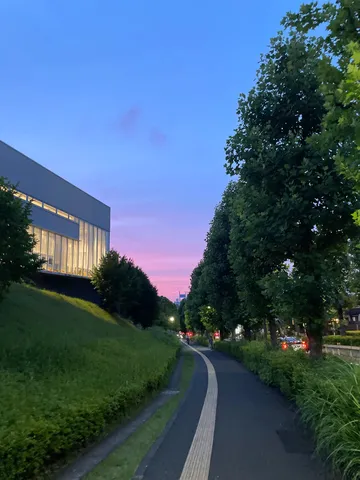 夕映えの空と続く道