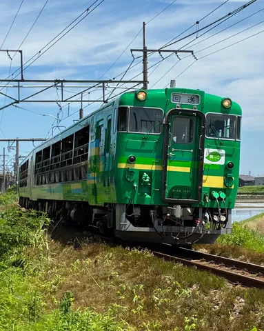 田園風景を駆け抜ける緑の列車