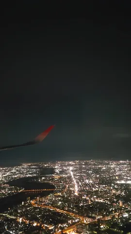 翼と光の夜景
