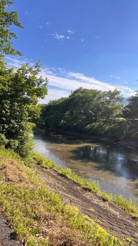 緑に囲まれた静かな水路