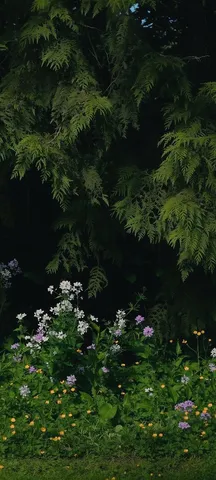 緑陰に咲く野の花