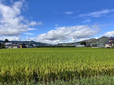 青空にほどける田園風景