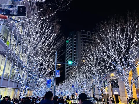 光の並木に包まれて