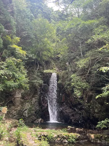 森の水音、岩に落ちる風景