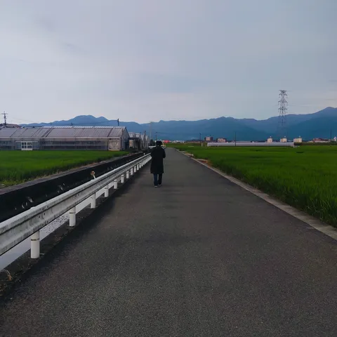 農道を進む、夕暮れの旅人