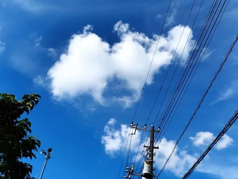 青空と電線の静かなリズム