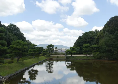 水鏡に映る緑の風景