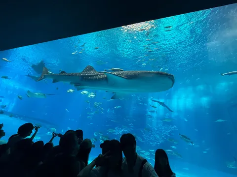 海の巨人と群青の世界