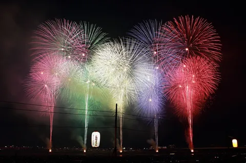 夜空に咲き誇る光の華